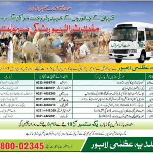 Bakra Mandi In Lahore 2023 Update Places For Eid Ul Adha