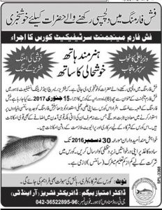 Fish Farming In Pakistan 6th Month Diploma Course