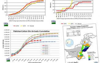 Cotton Production In Pakistan 2024 Sowing Time of Cotton Growing Areas