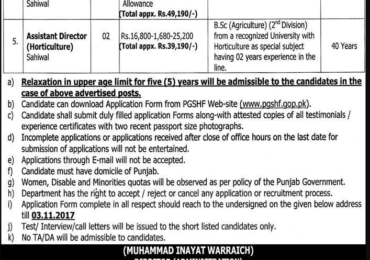 Punjab Government Servants Housing Foundation Lahore Jobs 2017 Application Form Download Process