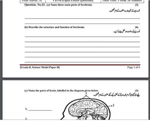 pec 8th class science guess paper 2019