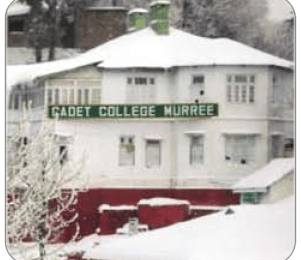 Cadet College Murree Entry Test Result 2019