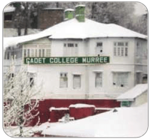 Cadet College Murree Entry Test Result 2019