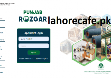 Punjab Rozgar Scheme Application Form 2024 Apna Rozgar