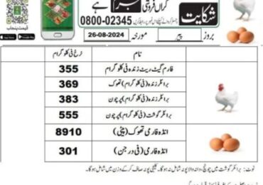 Poultry Rate Lahore Today