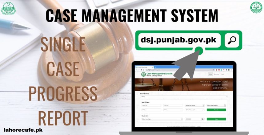 dsj punjab gov pk Case Management System Login